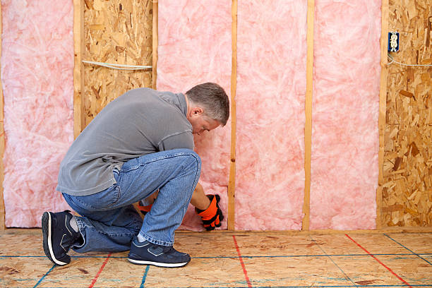 Best Cellulose Insulation in Raymond, WI