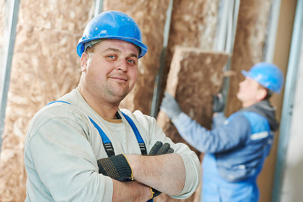 Best Geographic-Specific Insulation Services in Raymond, WI