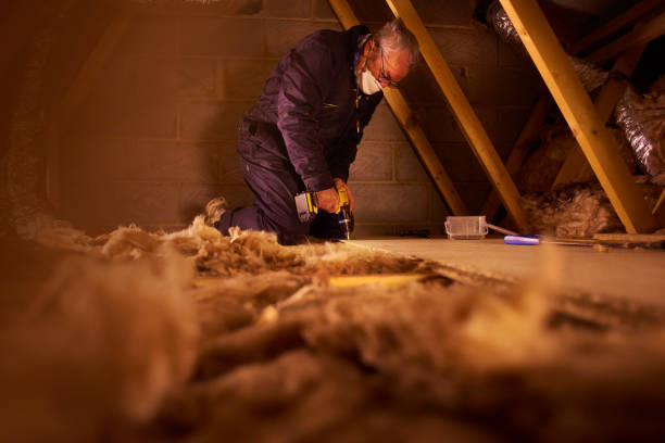 Best Energy Efficiency Insulation in Raymond, WI