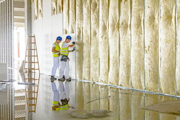 Best Fiberglass Insulation in Raymond, WI